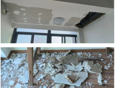 白蚁入侵毁家，业主拒交物业费被